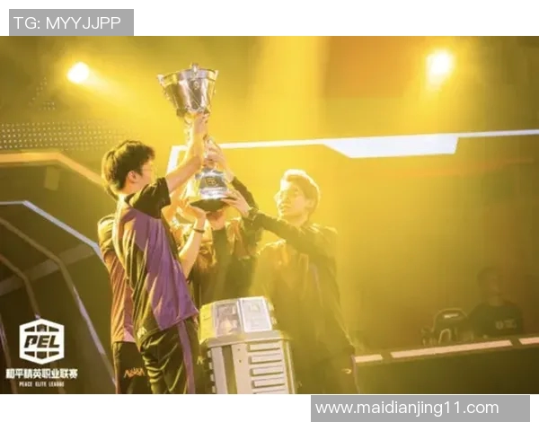 s15电竞总决赛引发热议和平精英LNG耐力变革的深度分析与展望 s15电竞总决赛引发热议和平精英LNG耐力变革的深度分析与展望